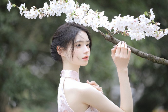 阿甘正传 封面